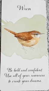 Divine Feather Messenger